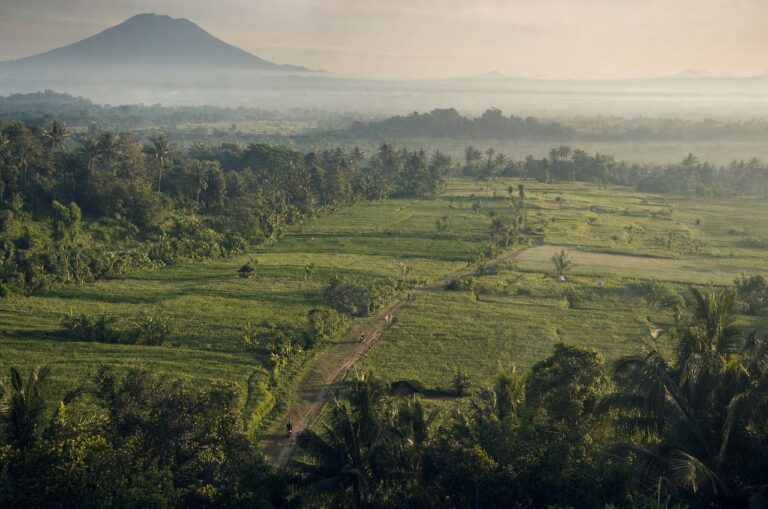 Elevated view over rice paddies with a dirt trail and a volcano in the distance